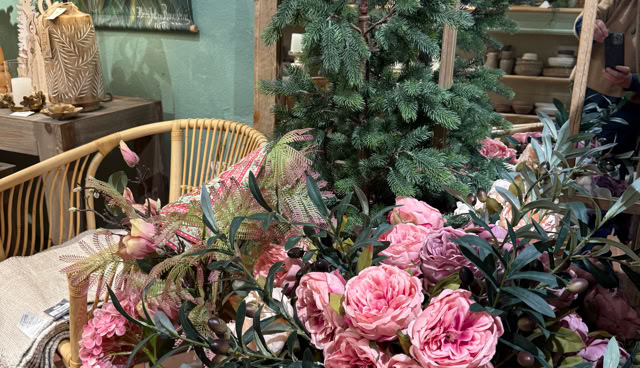 Plantes en pot avec des fleurs roses et un petit sapin, entourées de meubles en osier et d'une lampe, dans un intérieur décoré.